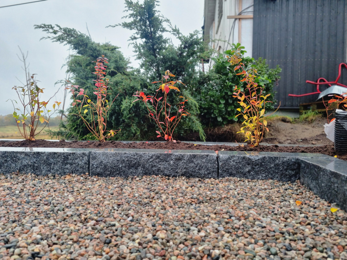 20251022 143538 001