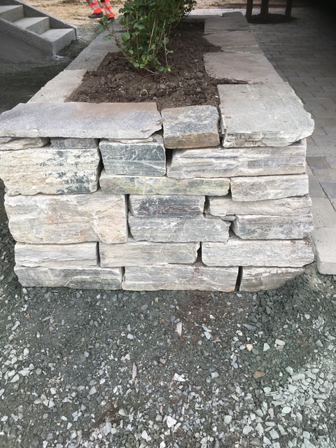 IMG 0549