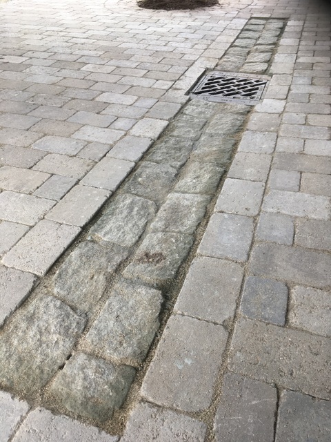 IMG 0549