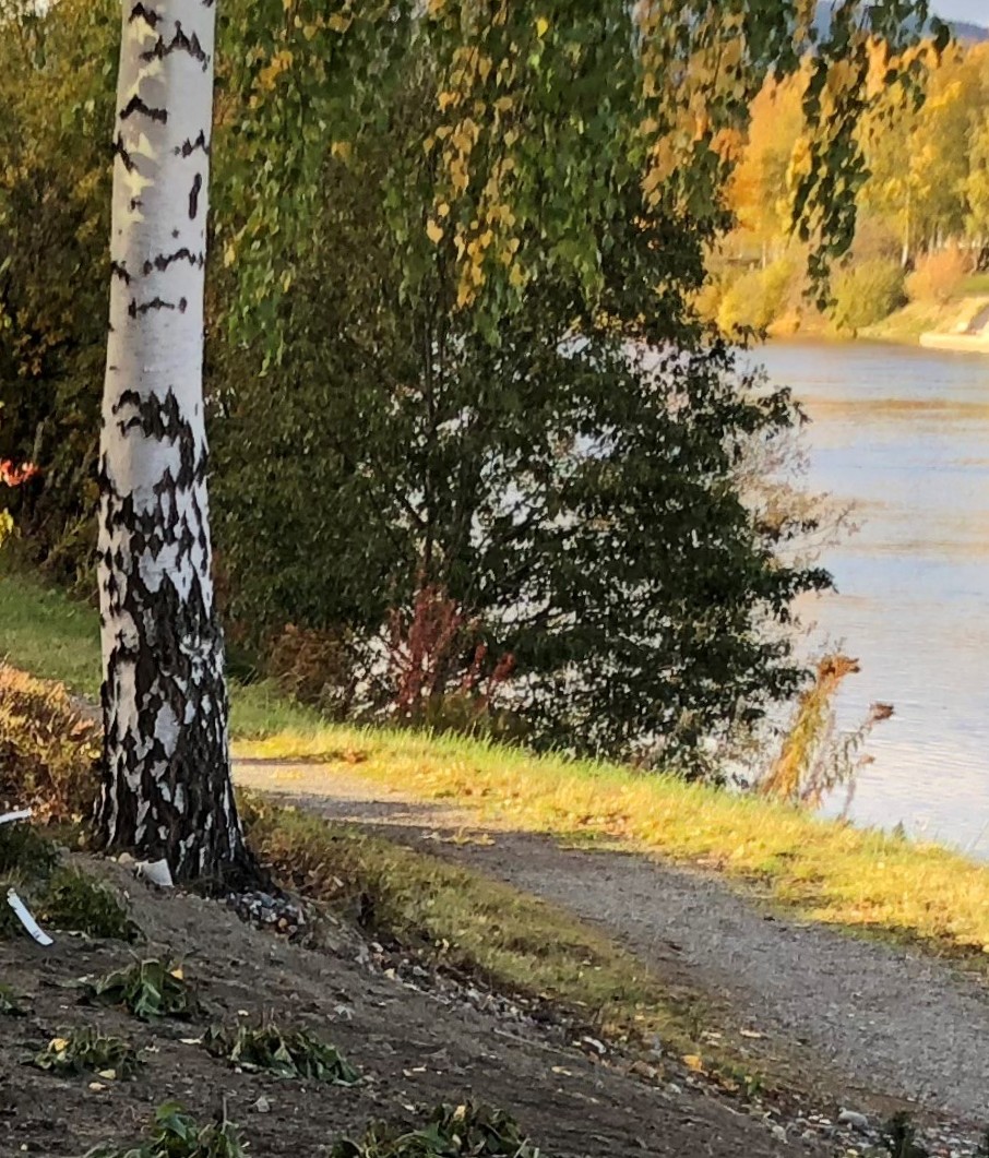 Fredrik2