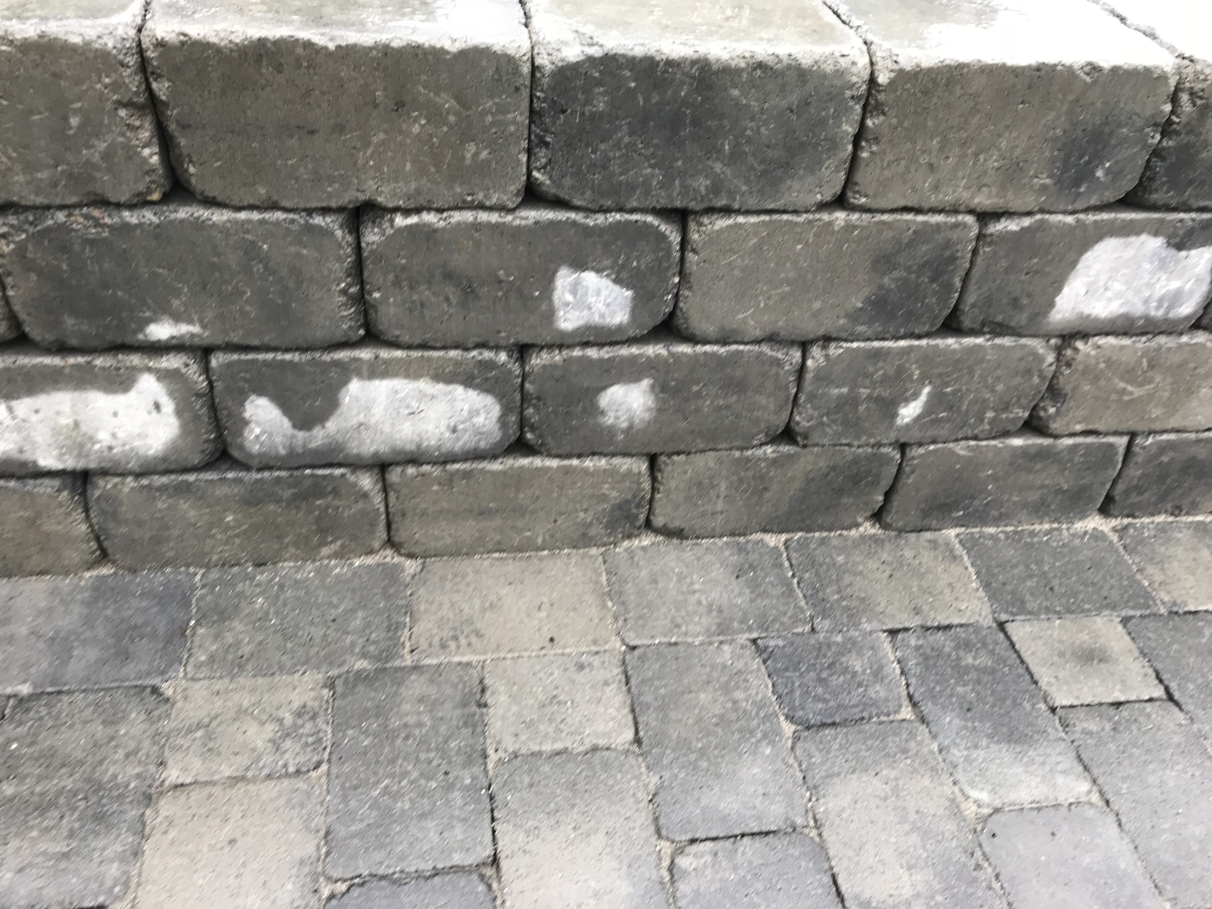 IMG 3767