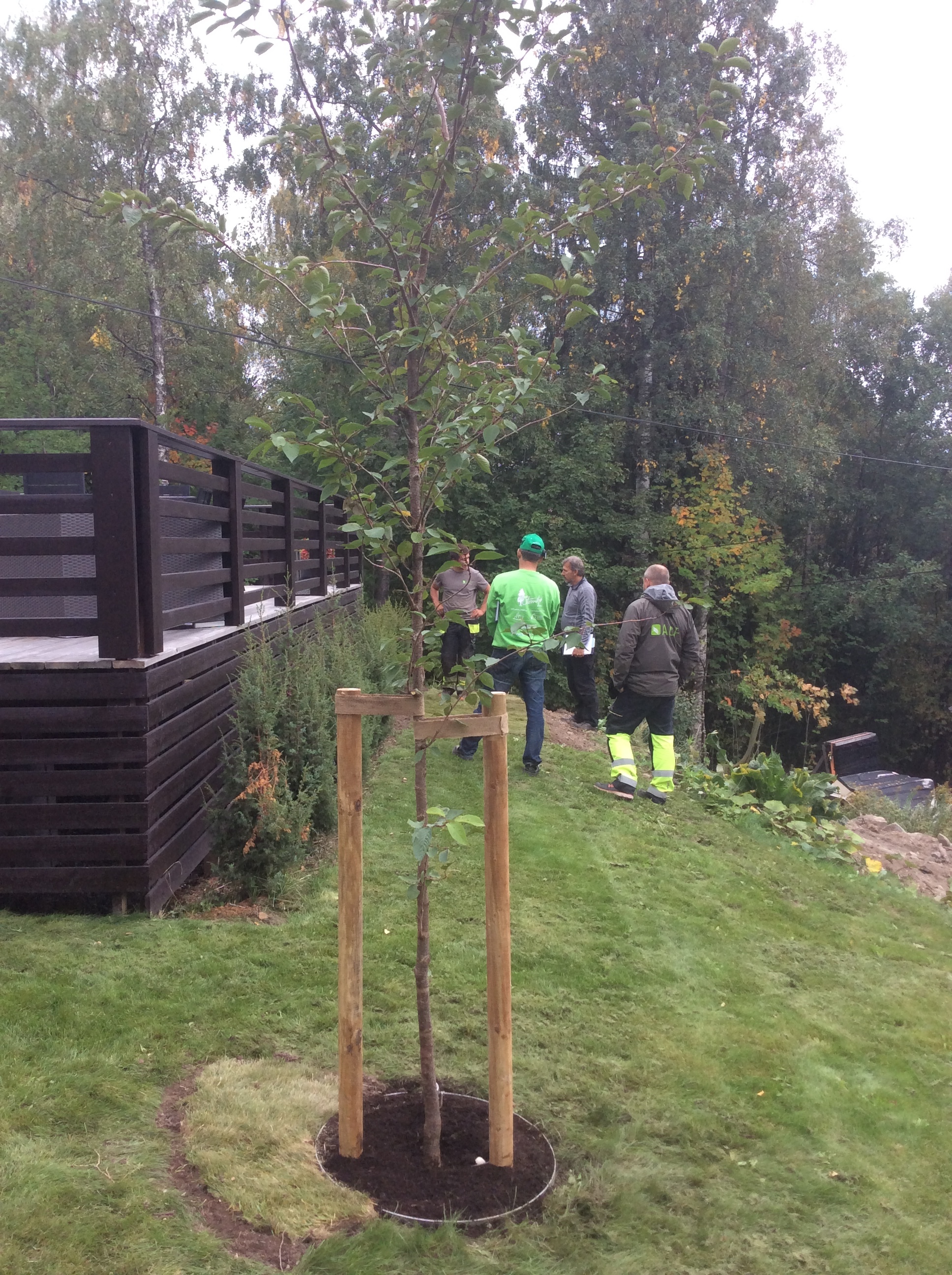 20180907 130925623 iOS