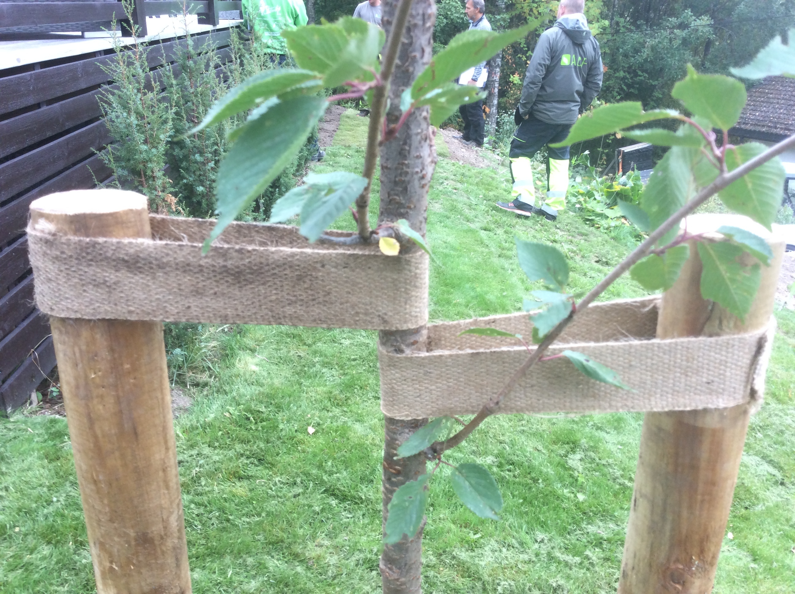 20180907 130925623 iOS