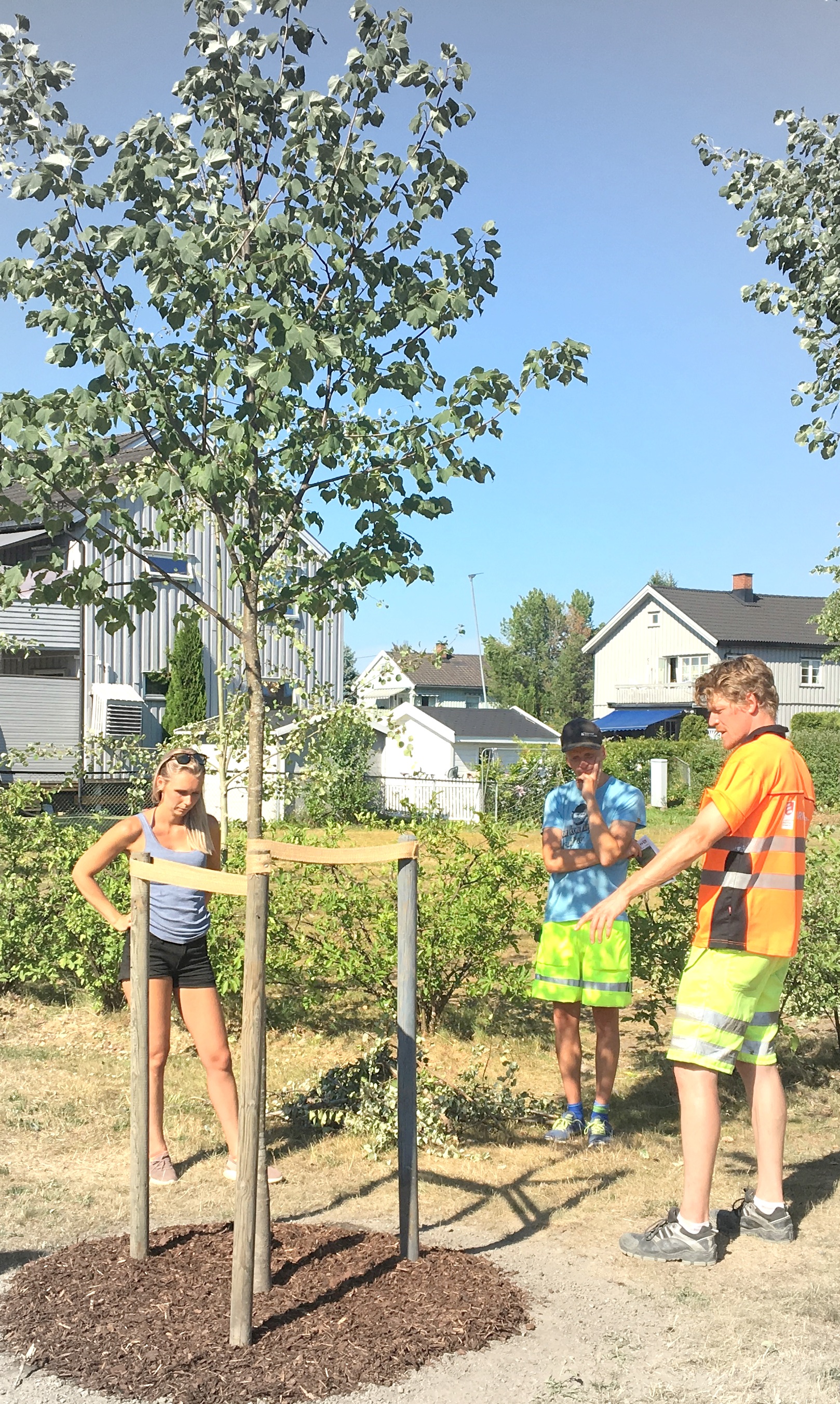 20180705 141159408 iOS