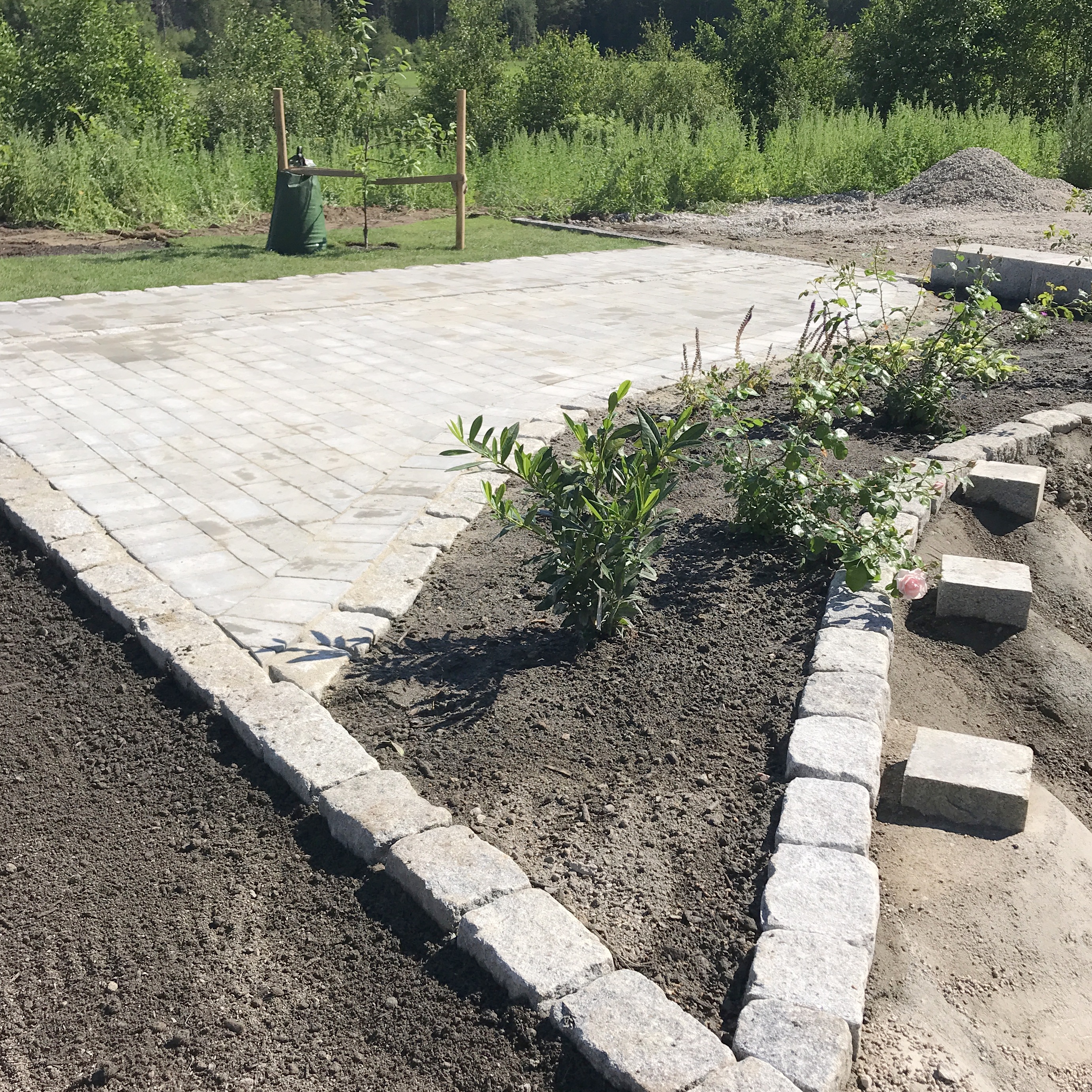 20200626 085432989 iOS