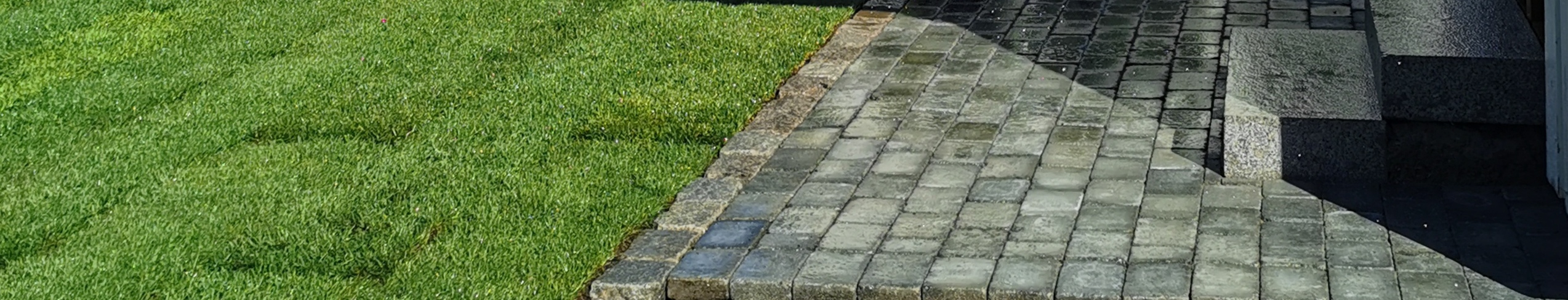 IMG 20200626 083533 Kopi