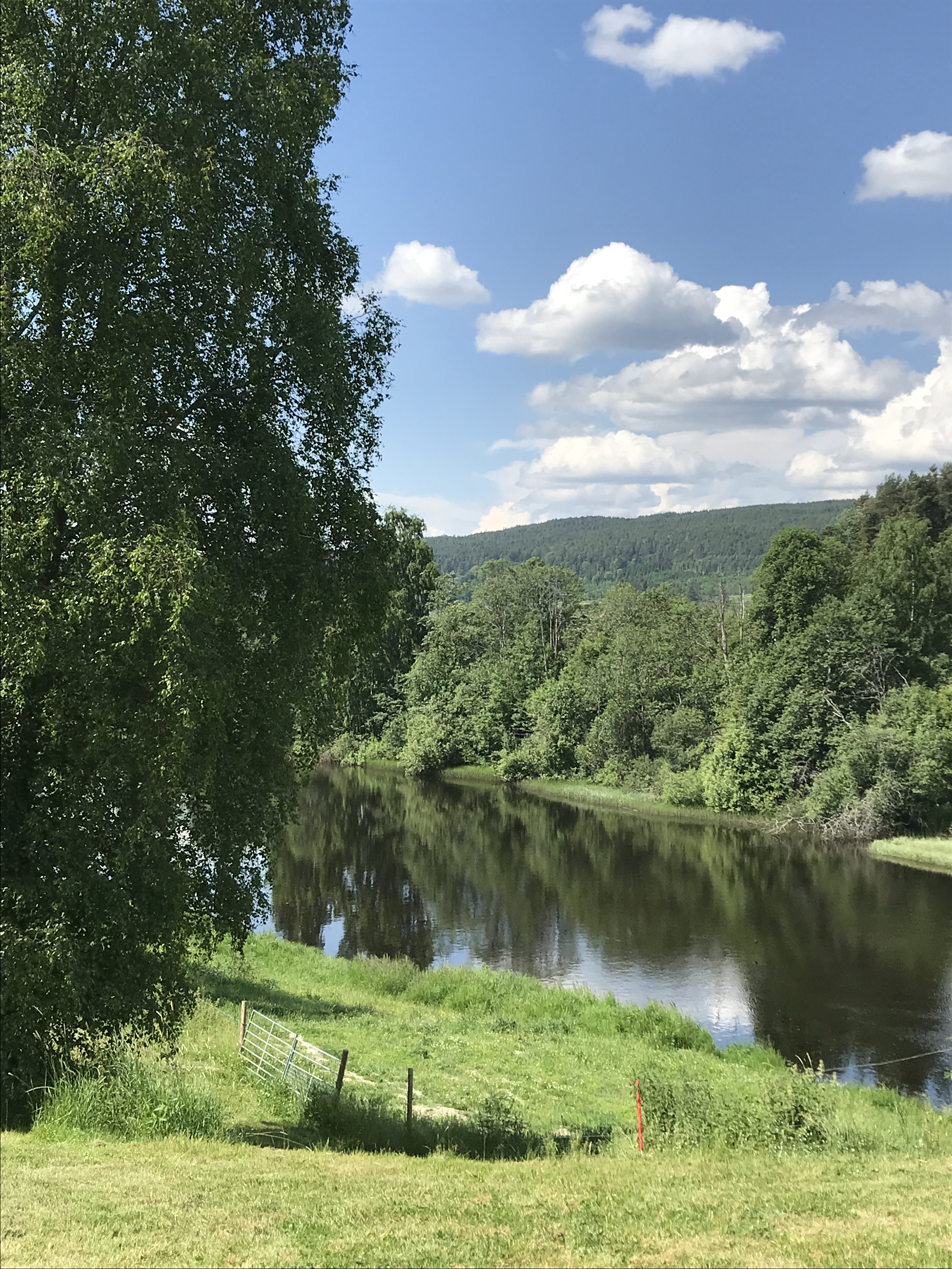 20200619 101421491 iOS