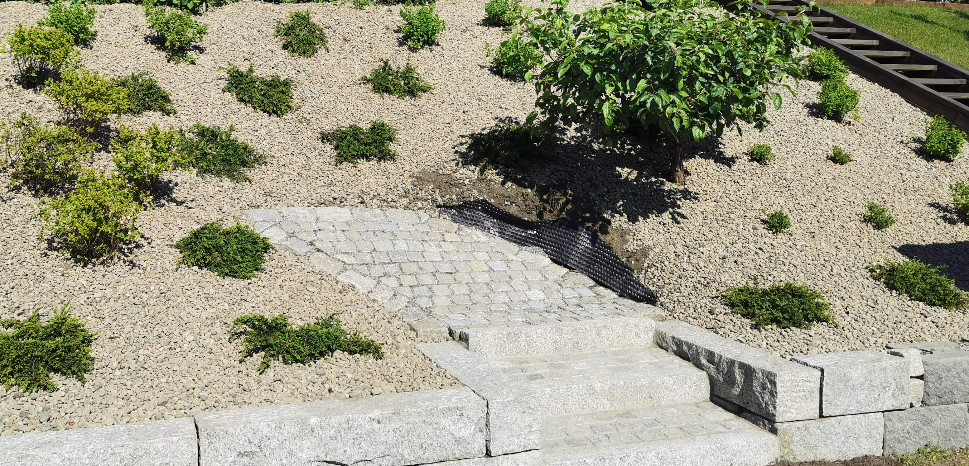 IMG 20210604 095544