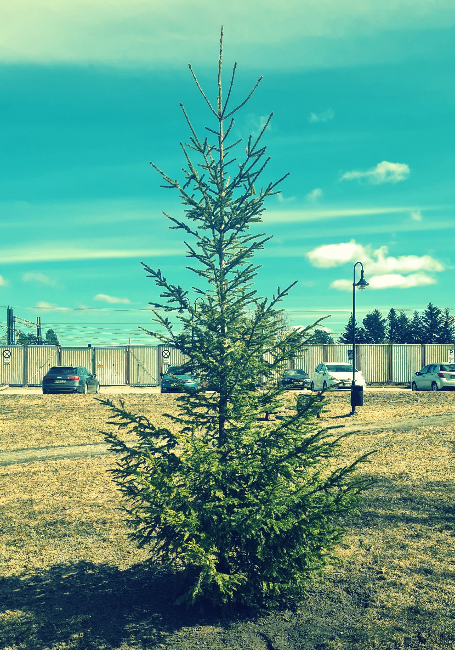 20210416 135846 resized