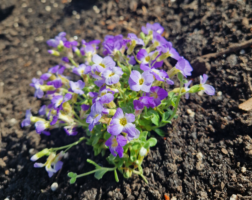 06 20230428 100152 001